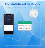 Smart Wi-fi 20A Plug 3 Pin