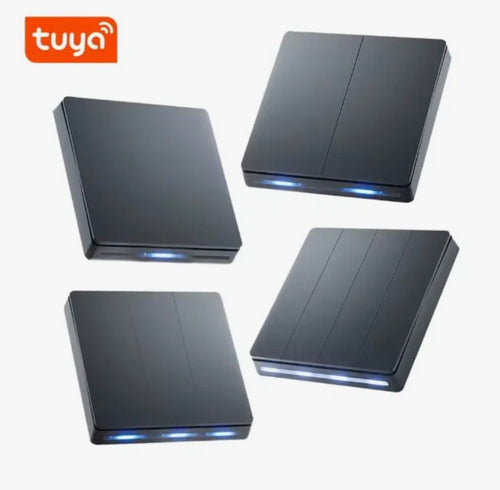 Smart Wi-Fi Double Push Button Wall Switch