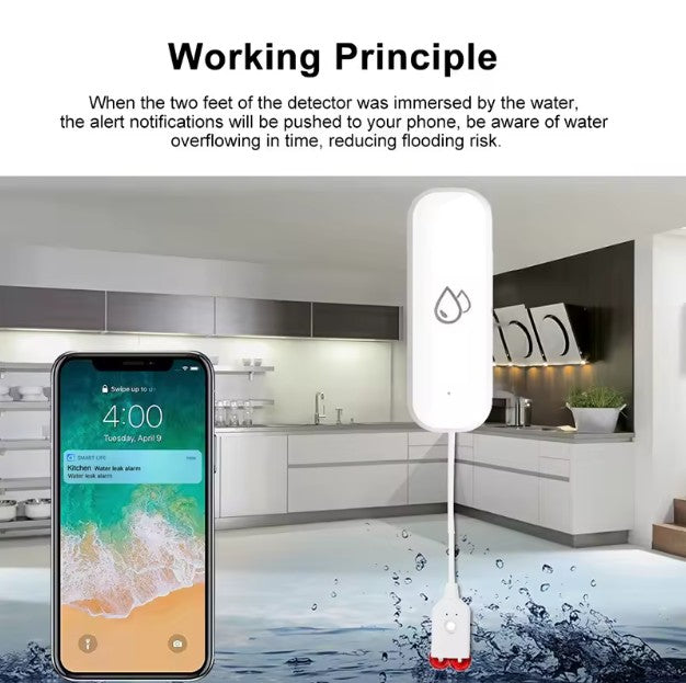 Switchora Smart Wi-fi Water Leakage Detector, Water Leak Sensor Detector