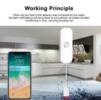 Switchora Smart Wi-fi Water Leakage Detector, Water Leak Sensor Detector