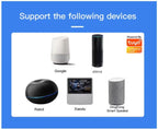 Switchora Smart Wi-fi Mini Switch module 16A, Mini Relay Works with Manual Switch
